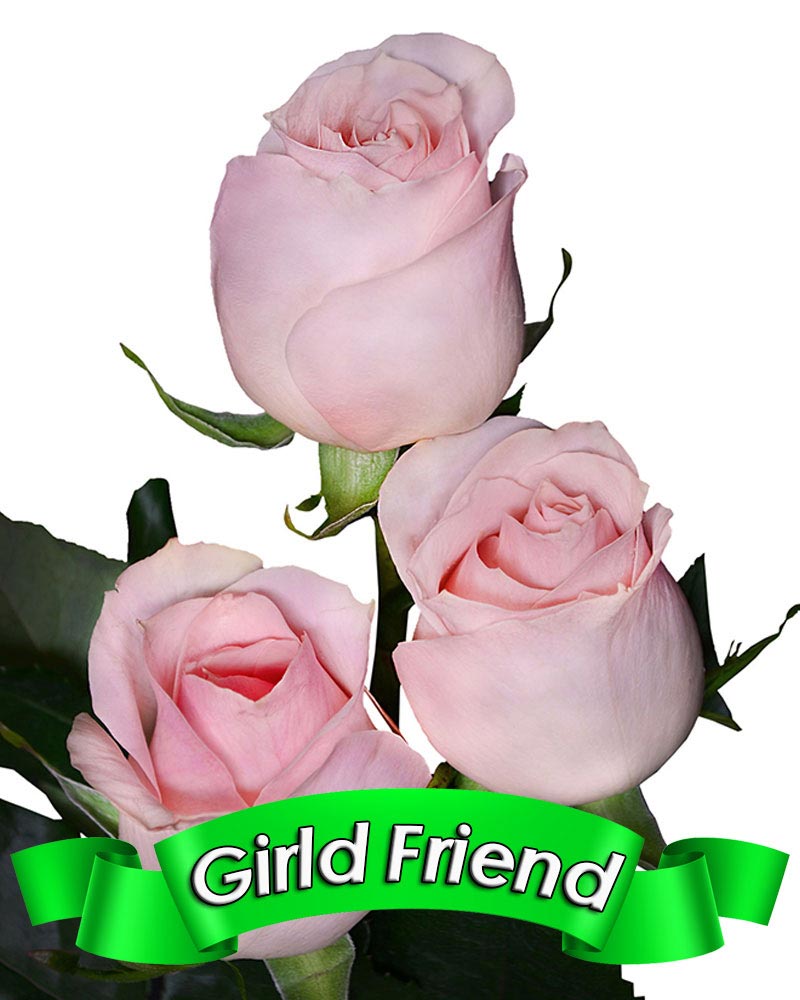 girld-friend.jpg