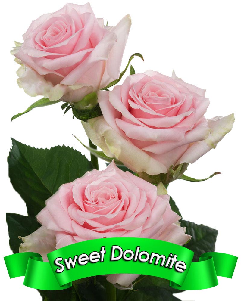 sweet-dolomite.jpg